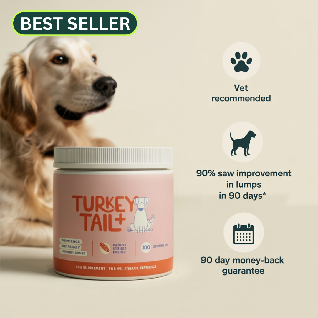 Turkey Tail + Probiotic Scoops