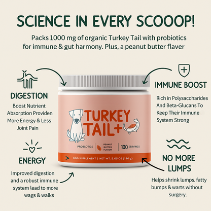 Turkey Tail + Probiotic Scoops